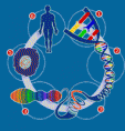 Hereditariedade